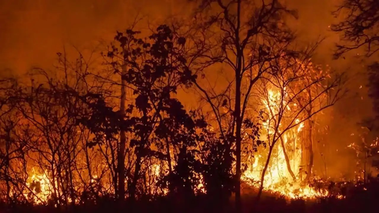 Procurement-Are-you-Ready-to-Face-the-Wrath-of-Nature1