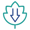 05-Reduced environmental