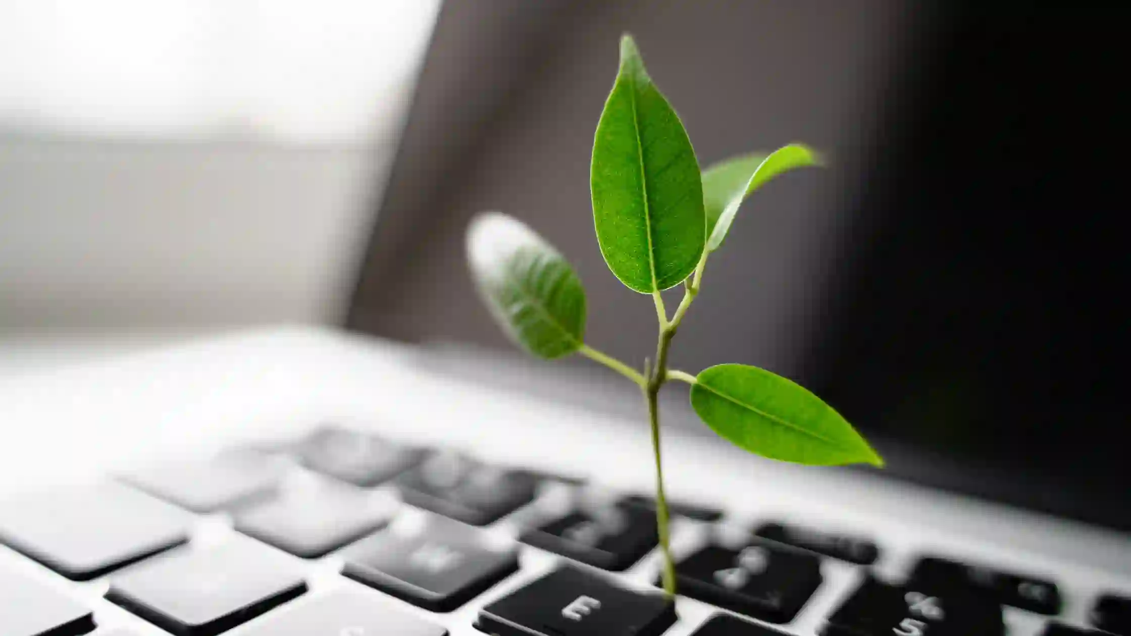 Sustainable Contract Management - Banner